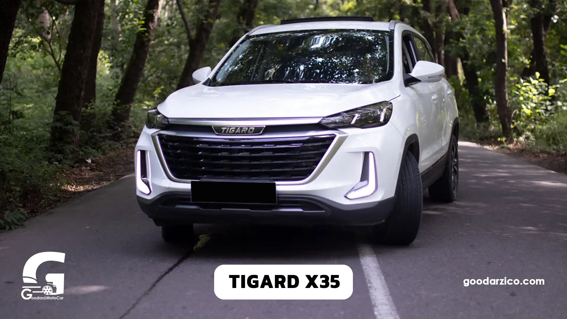نمایندگی تیگارد | TIGARD - شهرک اتومبیل گودرزی